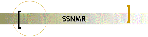 SSNMR