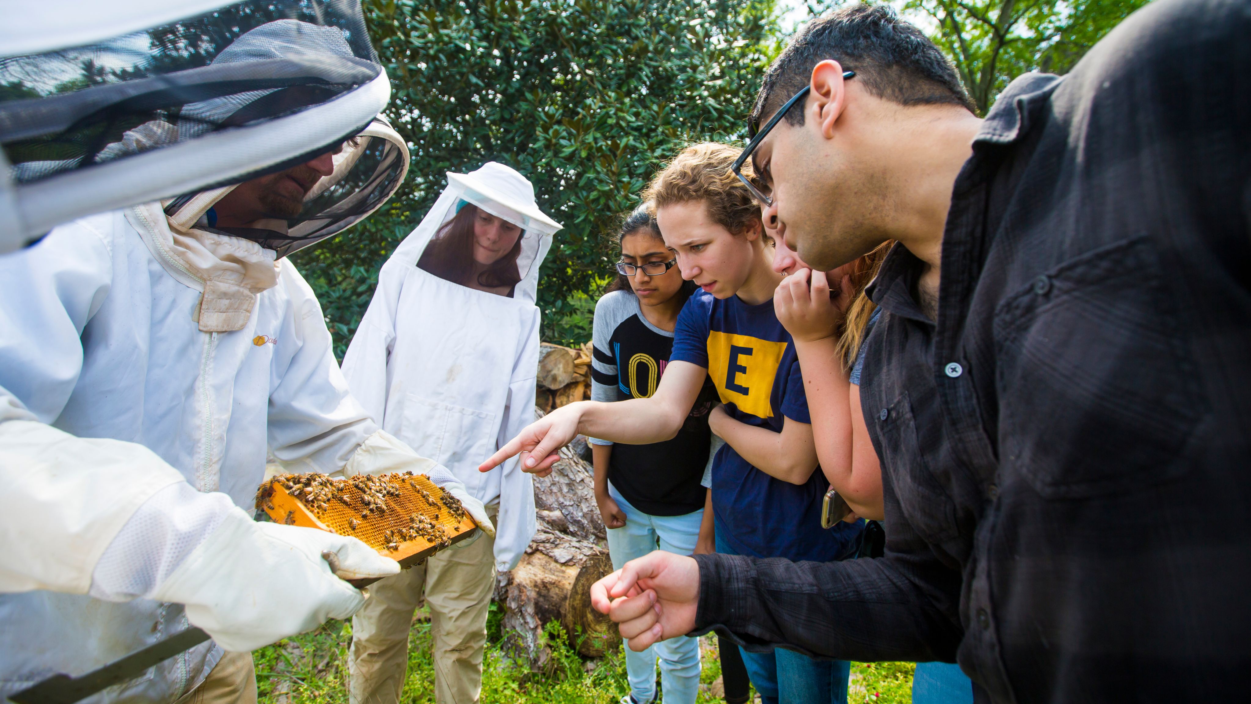 Outdoor class 3 people in protective gear and 4 students studying bees 